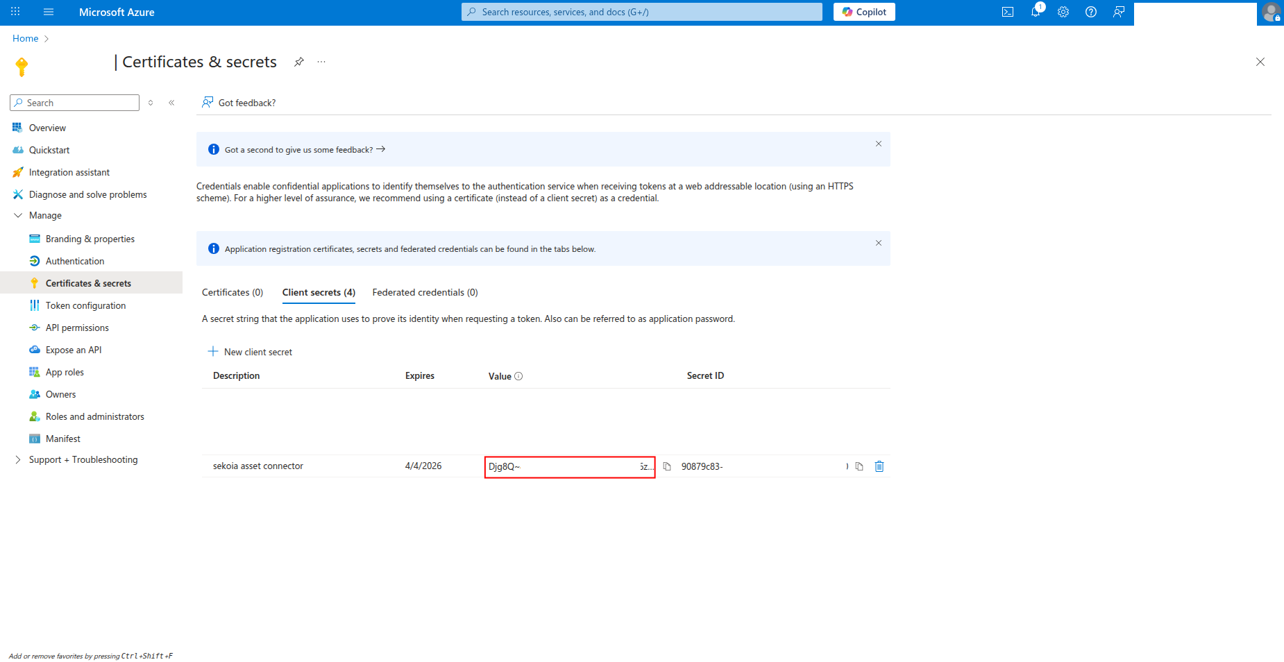 Client secret value display
